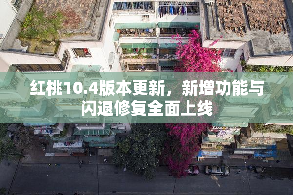红桃10.4版本更新，新增功能与闪退修复全面上线
