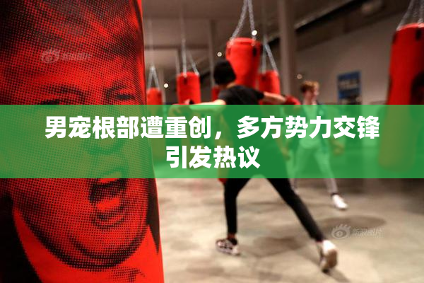 男宠根部遭重创，多方势力交锋引发热议