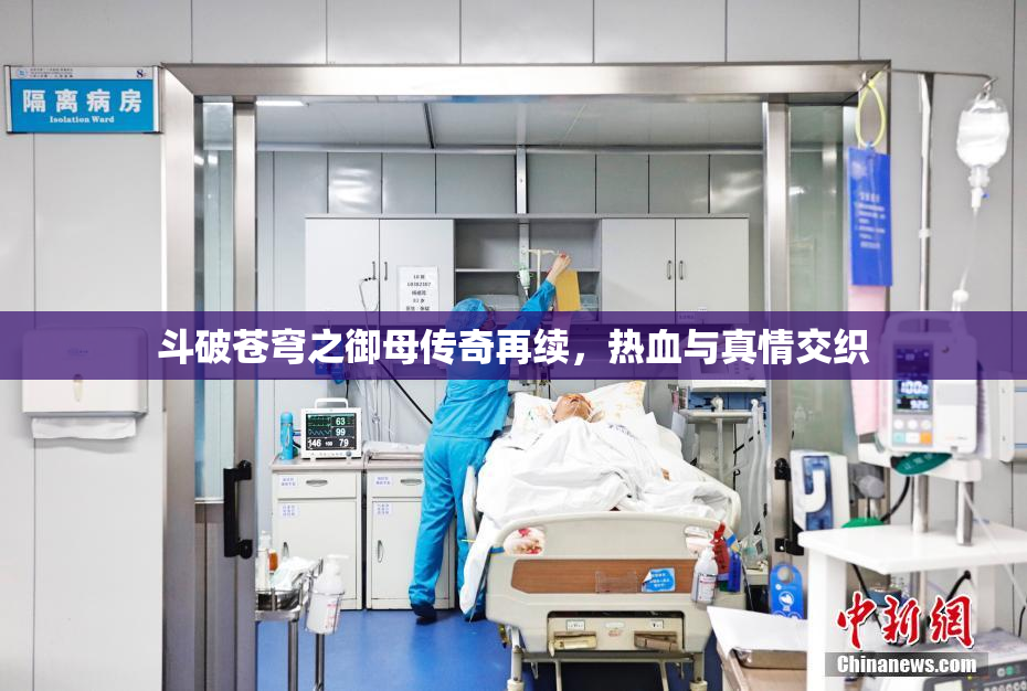 斗破苍穹之御母传奇再续，热血与真情交织