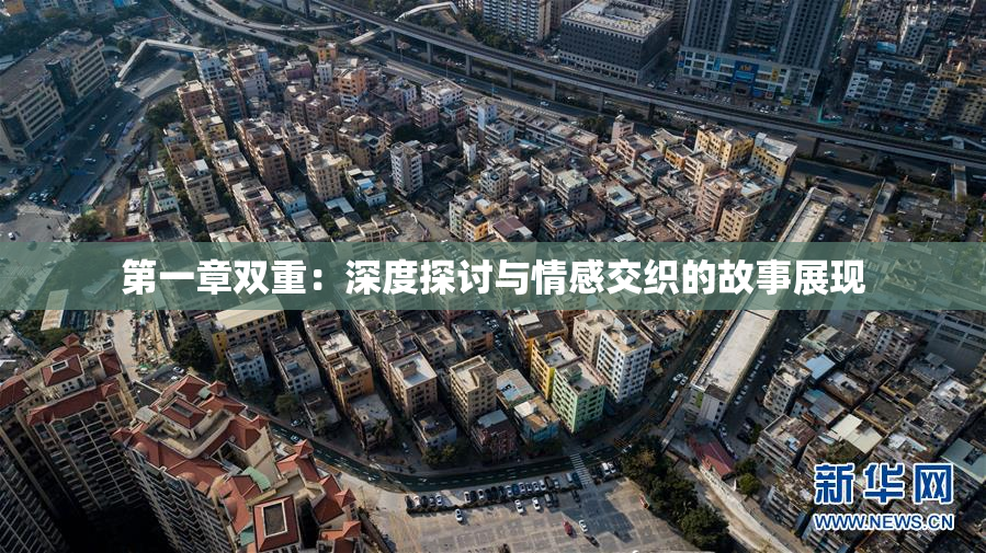 第一章双重：深度探讨与情感交织的故事展现