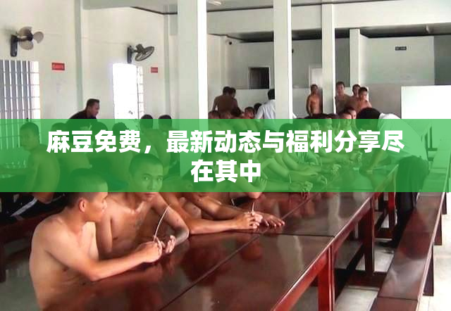 麻豆免费，最新动态与福利分享尽在其中