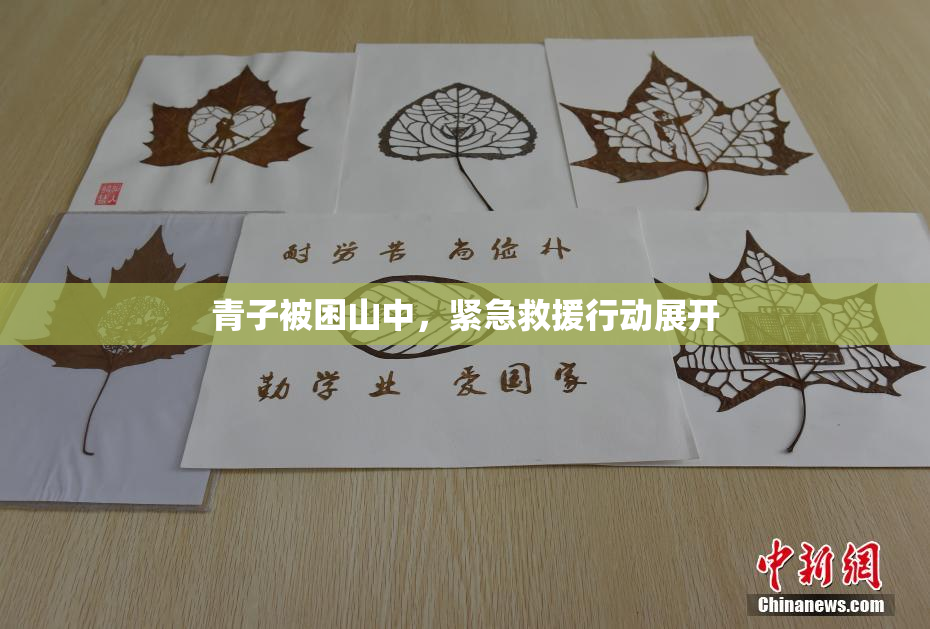 青子被困山中，紧急救援行动展开