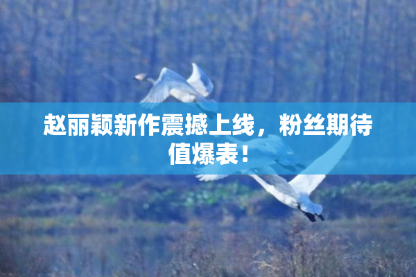 赵丽颖新作震撼上线，粉丝期待值爆表！