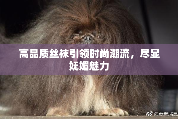 高品质丝袜引领时尚潮流，尽显妩媚魅力