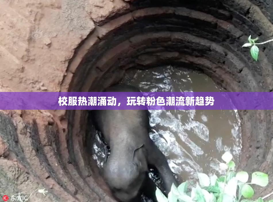 校服热潮涌动，玩转粉色潮流新趋势