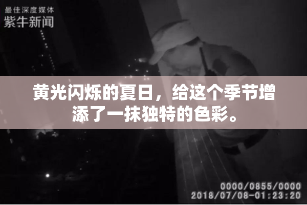 黄光闪烁的夏日，给这个季节增添了一抹独特的色彩。