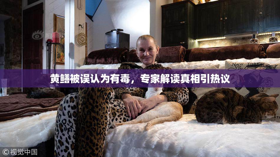黄鳝被误认为有毒，专家解读真相引热议