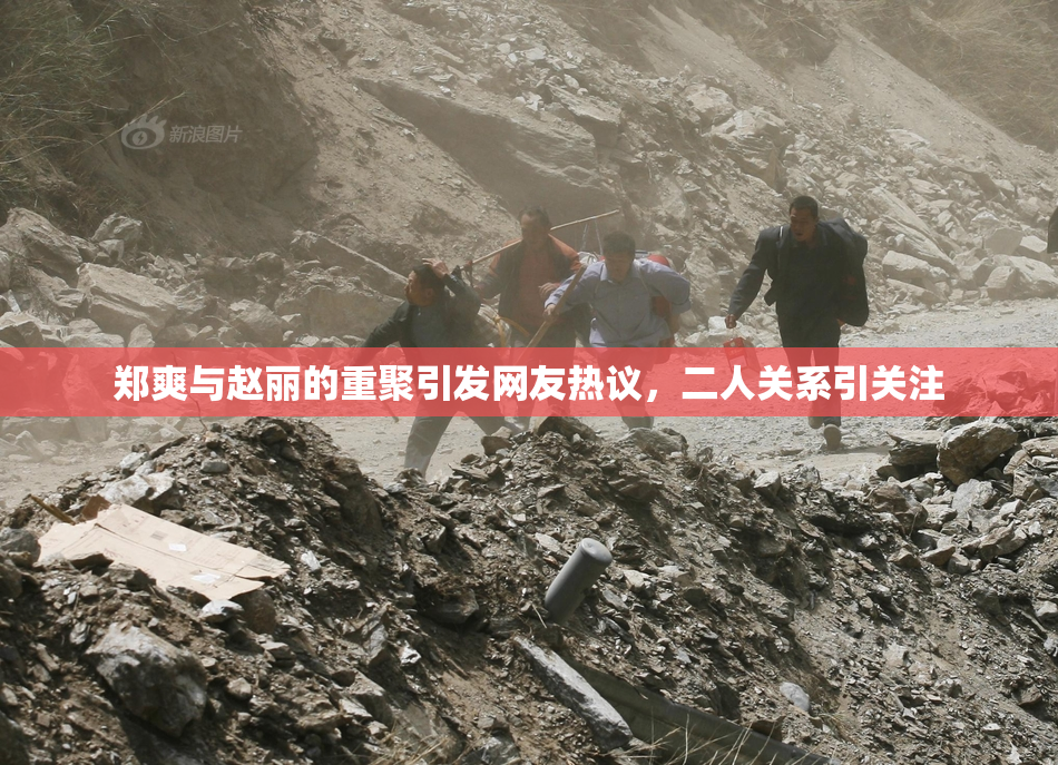 郑爽与赵丽的重聚引发网友热议，二人关系引关注