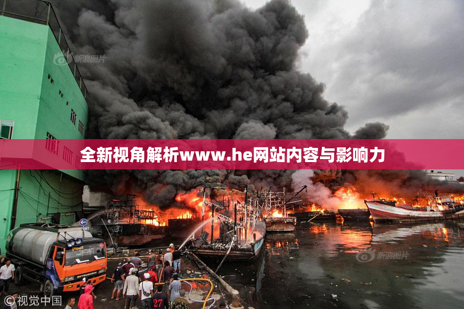 全新视角解析www.he网站内容与影响力