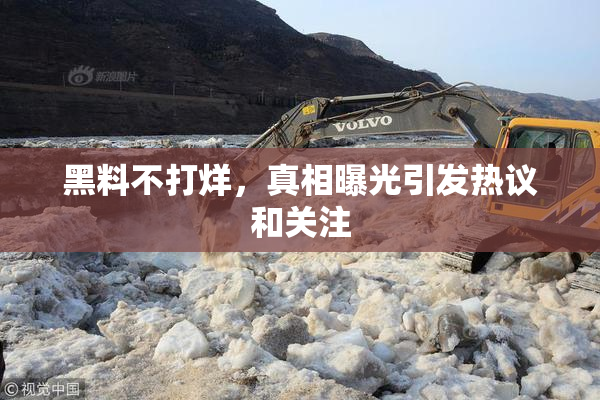 黑料不打烊，真相曝光引发热议和关注
