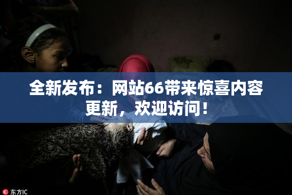 全新发布：网站66带来惊喜内容更新，欢迎访问！