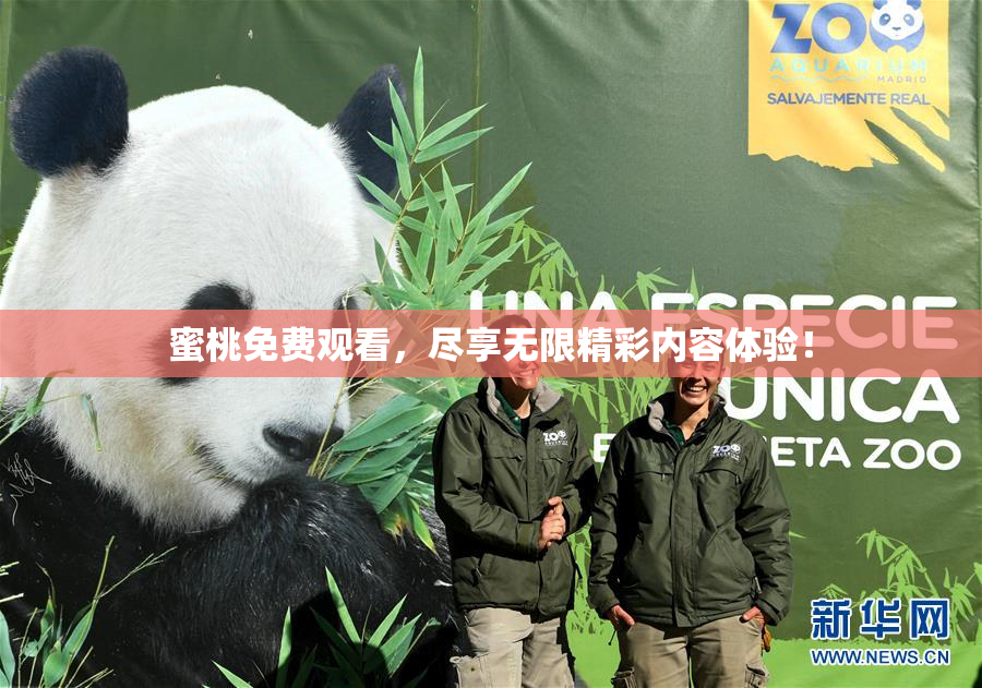 蜜桃免费观看，尽享无限精彩内容体验！