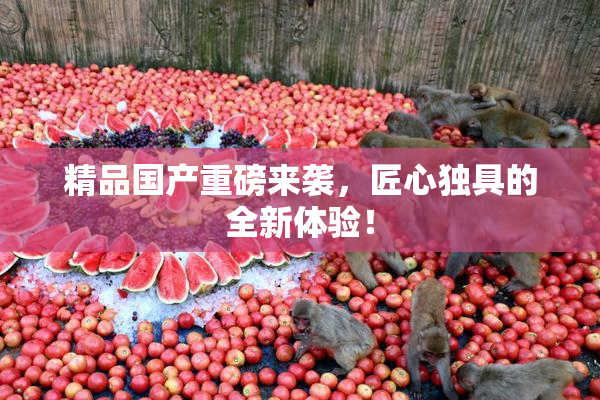 精品国产重磅来袭，匠心独具的全新体验！