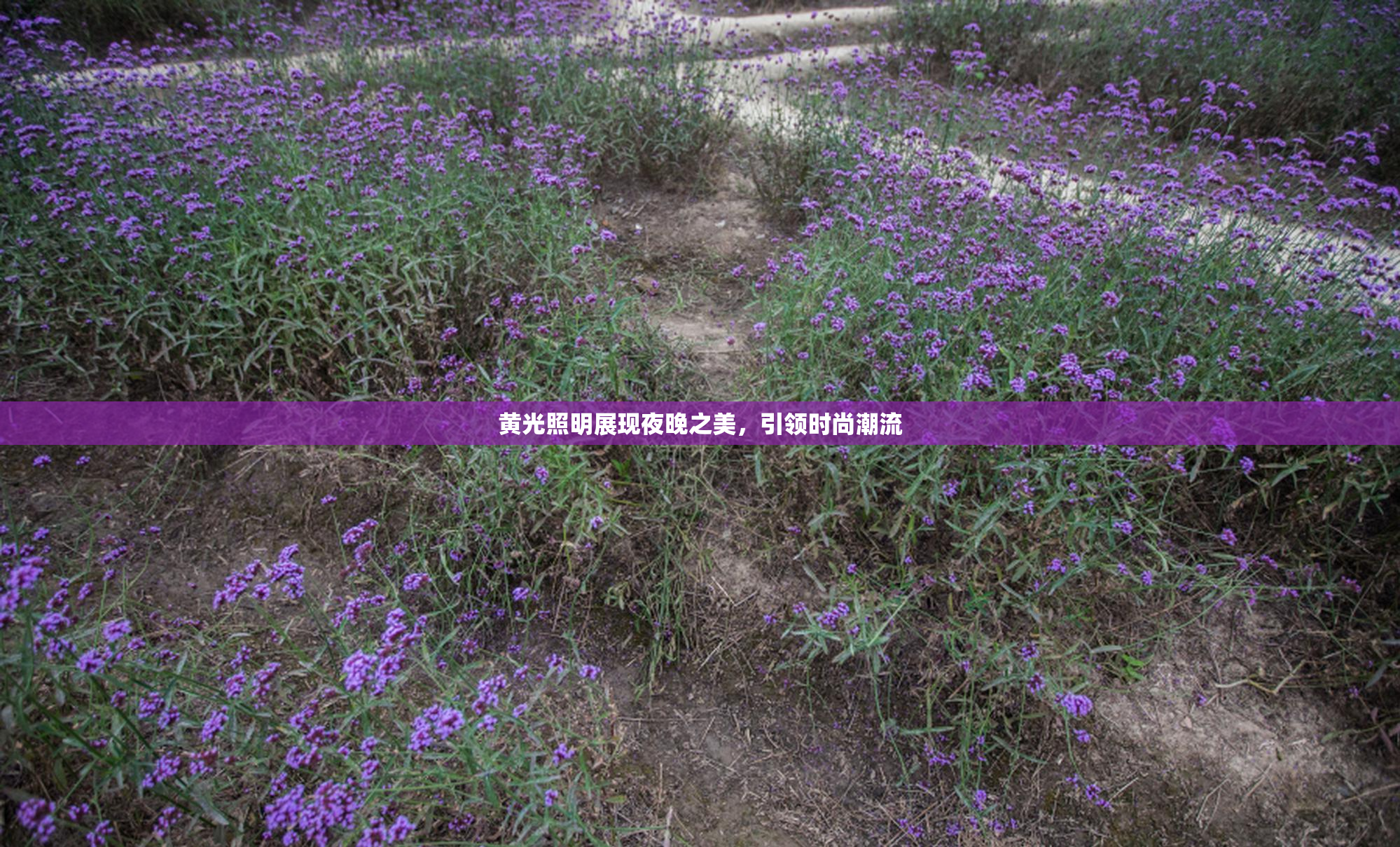 黄光照明展现夜晚之美，引领时尚潮流