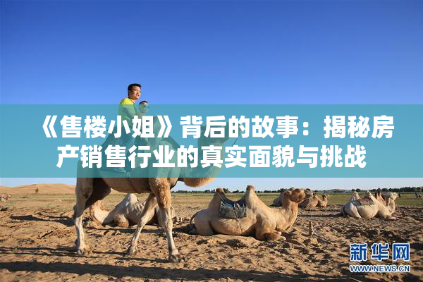 《售楼小姐》背后的故事：揭秘房产销售行业的真实面貌与挑战