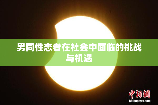 男同性恋者在社会中面临的挑战与机遇