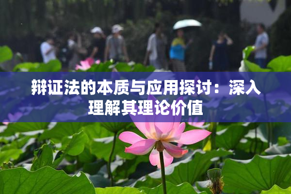 辩证法的本质与应用探讨：深入理解其理论价值