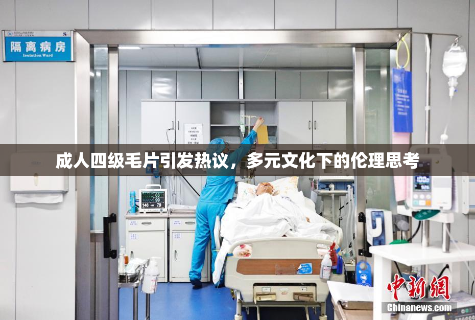 成人四级毛片引发热议，多元文化下的伦理思考