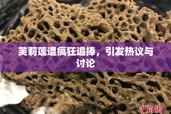 芙莉莲遭疯狂追捧，引发热议与讨论
