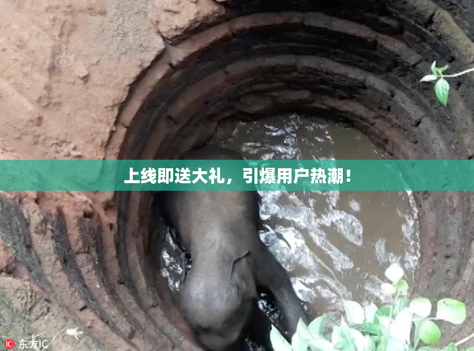 上线即送大礼，引爆用户热潮！