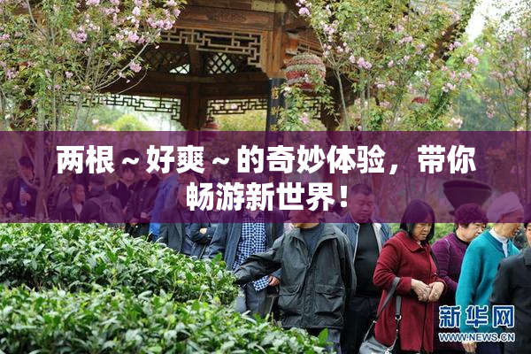 两根～好爽～的奇妙体验，带你畅游新世界！