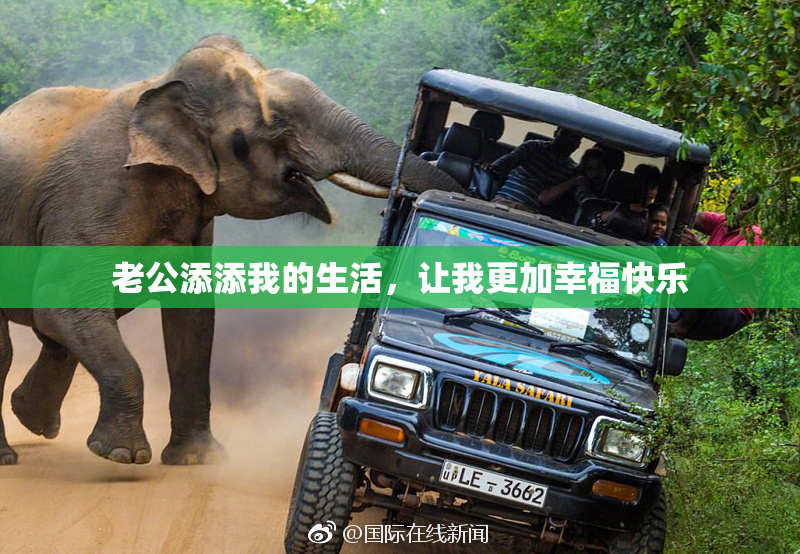 老公添添我的生活，让我更加幸福快乐