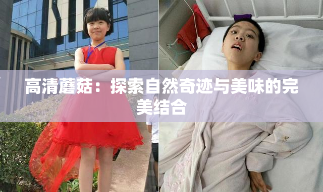 高清蘑菇：探索自然奇迹与美味的完美结合