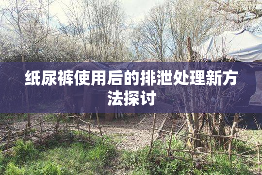 纸尿裤使用后的排泄处理新方法探讨