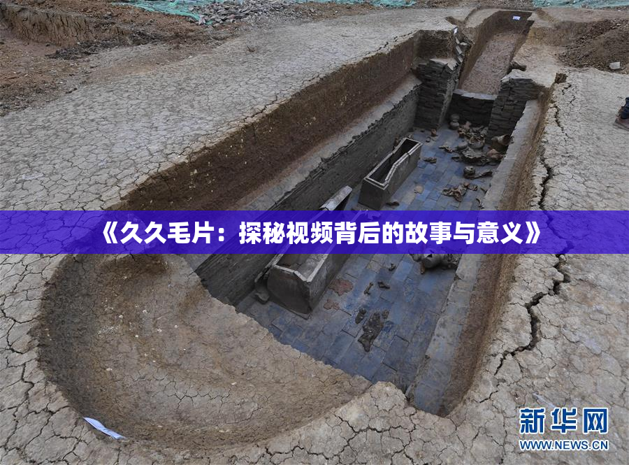 《久久毛片：探秘视频背后的故事与意义》