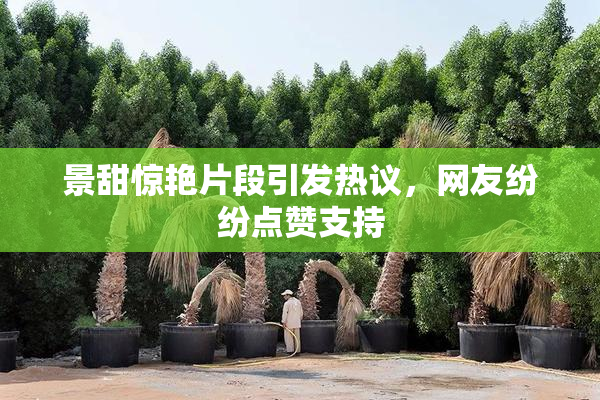 景甜惊艳片段引发热议，网友纷纷点赞支持