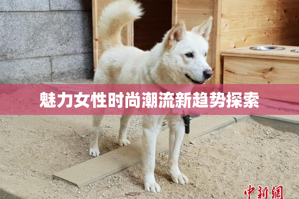 魅力女性时尚潮流新趋势探索