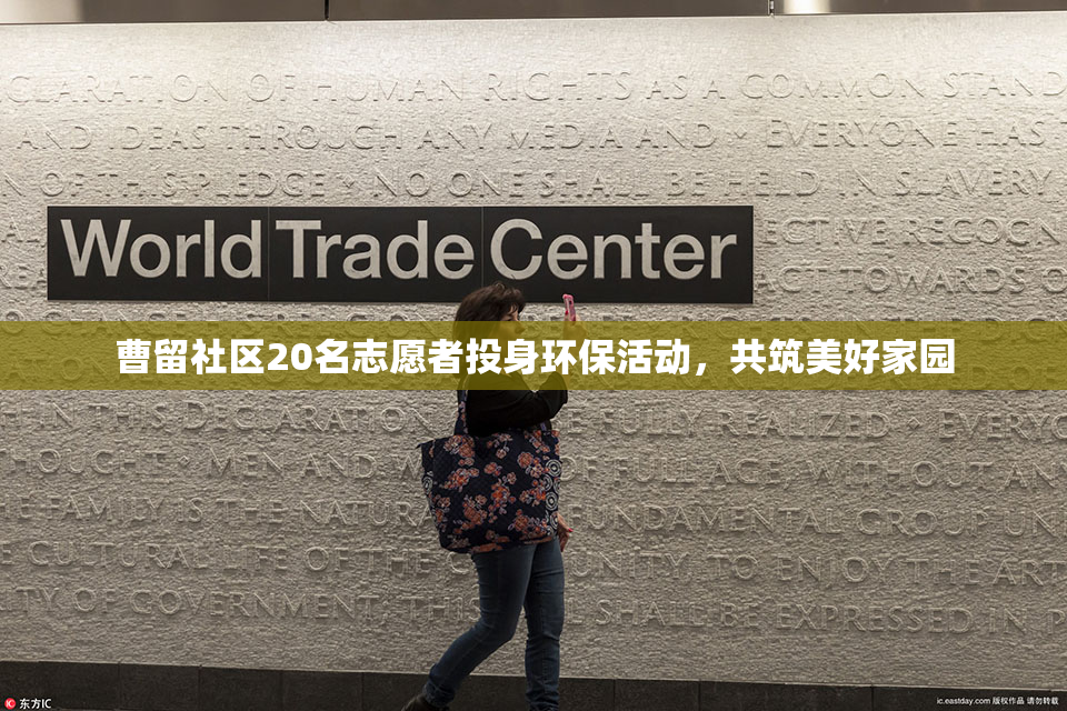曹留社区20名志愿者投身环保活动，共筑美好家园