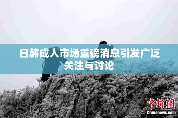 日韩成人市场重磅消息引发广泛关注与讨论
