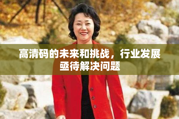 高清码的未来和挑战，行业发展亟待解决问题