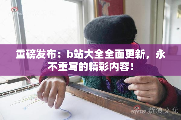 重磅发布：b站大全全面更新，永不重写的精彩内容！