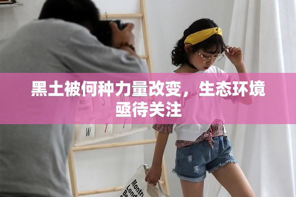 黑土被何种力量改变，生态环境亟待关注