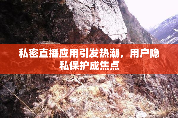 私密直播应用引发热潮，用户隐私保护成焦点