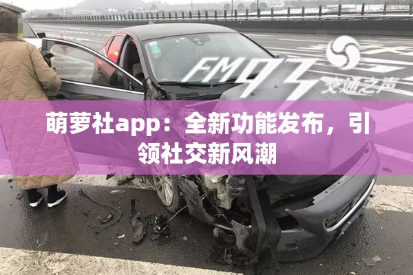 萌萝社app：全新功能发布，引领社交新风潮
