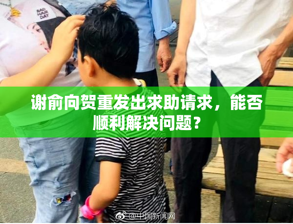 谢俞向贺重发出求助请求，能否顺利解决问题？