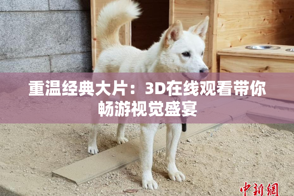 重温经典大片：3D在线观看带你畅游视觉盛宴