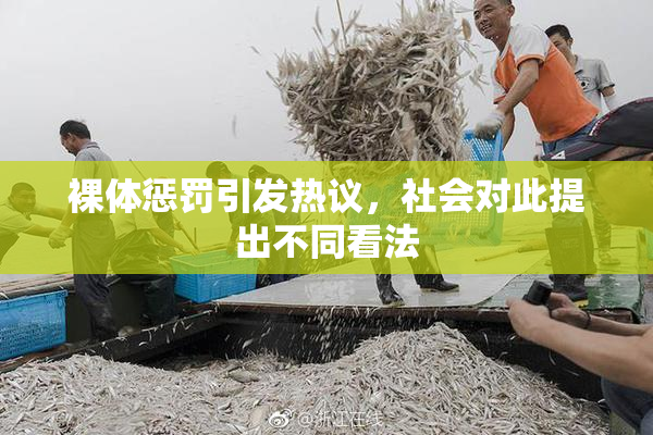 裸体惩罚引发热议，社会对此提出不同看法