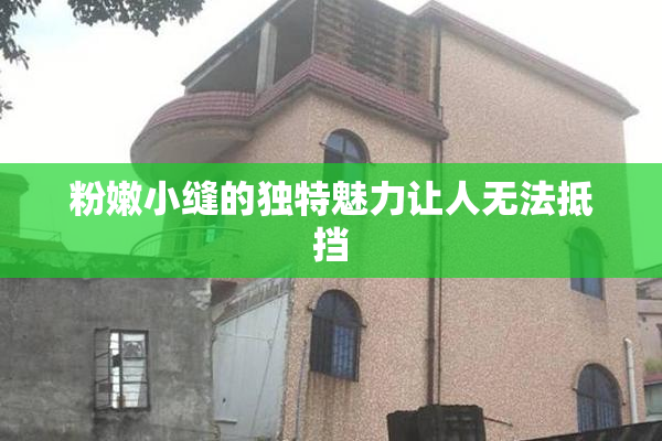 粉嫩小缝的独特魅力让人无法抵挡