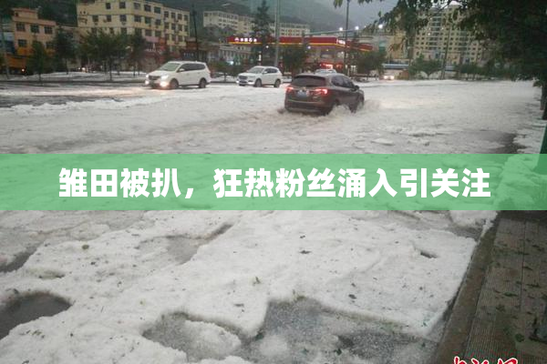雏田被扒，狂热粉丝涌入引关注