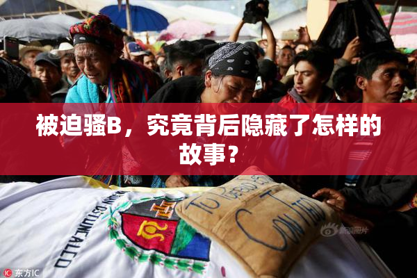 被迫骚B，究竟背后隐藏了怎样的故事？
