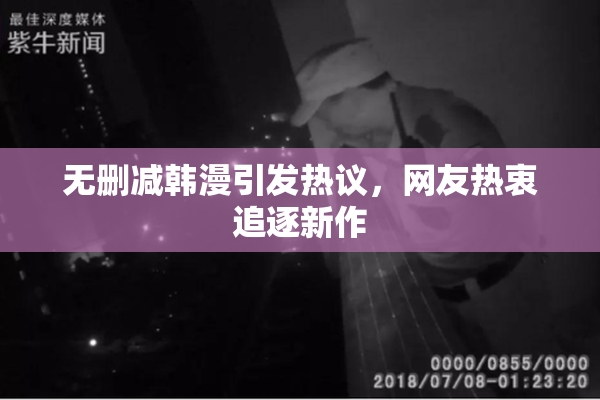 无删减韩漫引发热议，网友热衷追逐新作