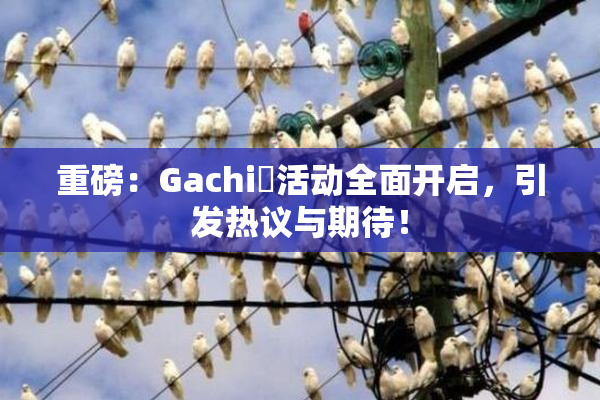 重磅：Gachi籣活动全面开启，引发热议与期待！