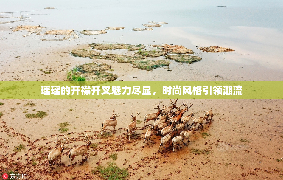 瑶瑶的开襟开叉魅力尽显，时尚风格引领潮流