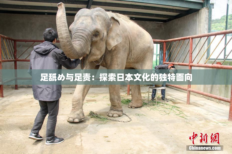 足舐め与足责：探索日本文化的独特面向