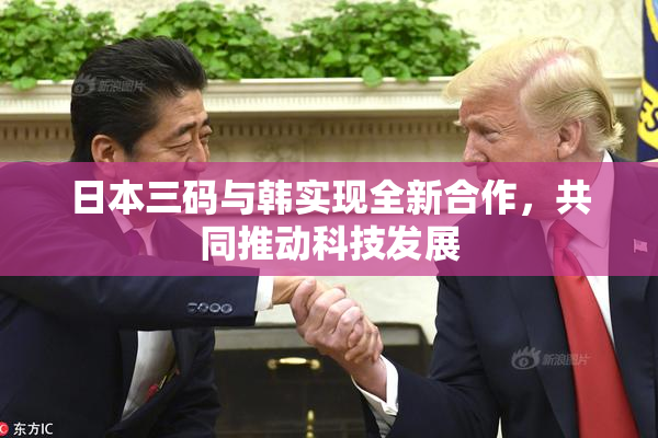 日本三码与韩实现全新合作，共同推动科技发展
