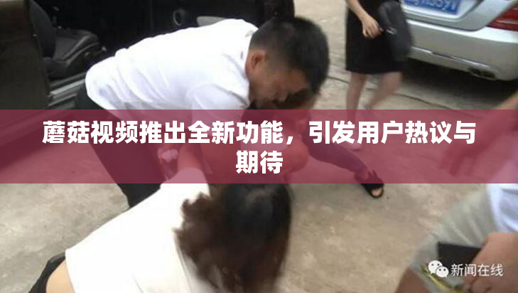 蘑菇视频推出全新功能，引发用户热议与期待